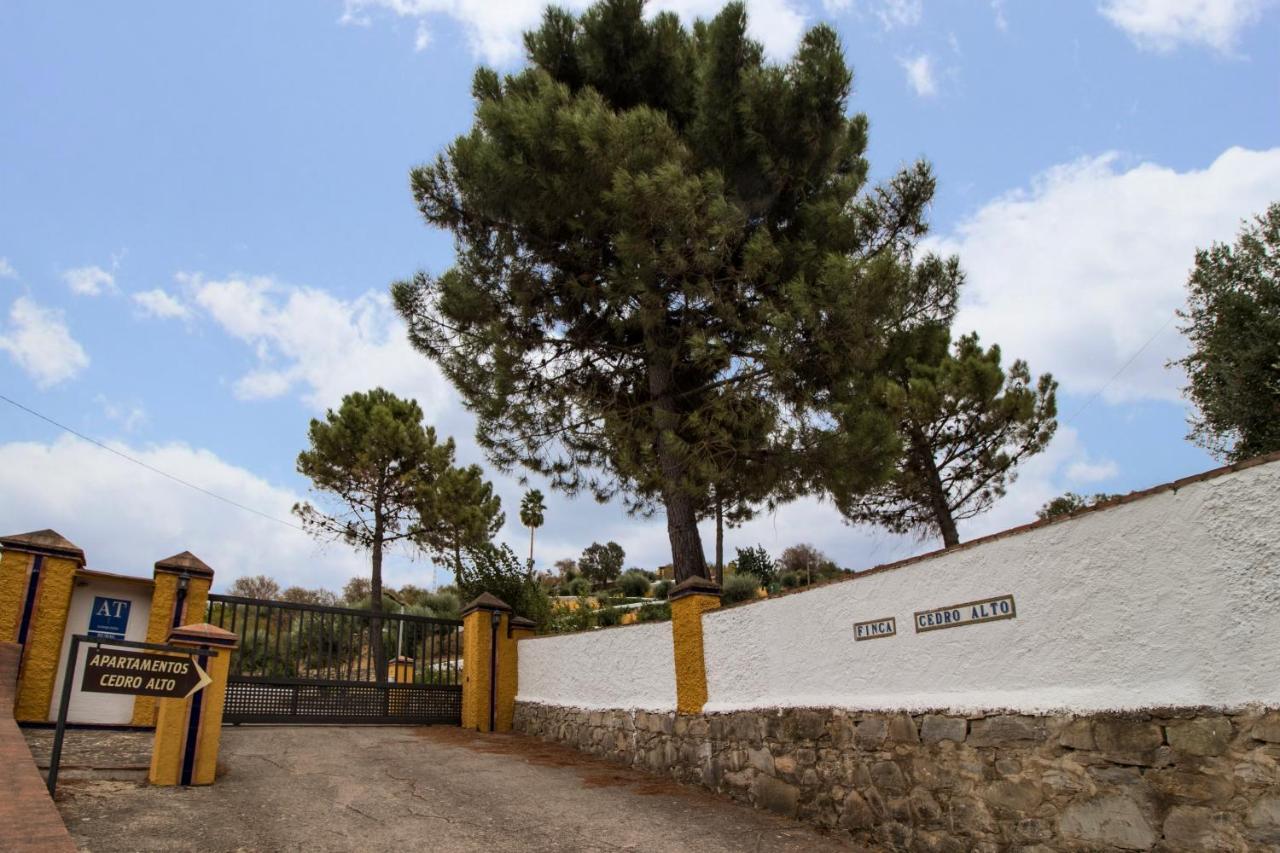 Apartamentos Cedro Alto Benaoján Exterior foto